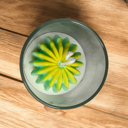 Cactus Blossom Burst