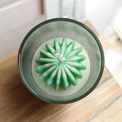 Cactus Blossom Burst