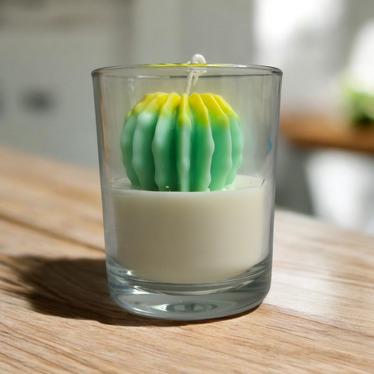 Cactus Blossom Burst